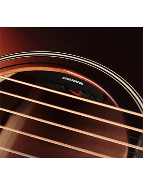 Sigma® Guitarra Electroacústica Dreadnought  12 Cuerdas DM12-SG5 Fishman®