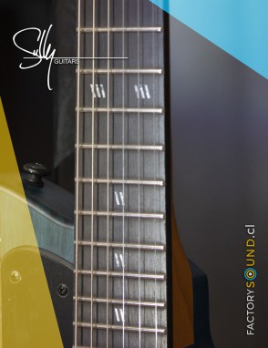 Sully® Guitarra Eléctrica STARDUST Shipwreck Hardtail con estuche duro