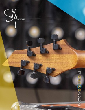 Sully® Guitarra Eléctrica STARDUST Shipwreck Hardtail con estuche duro