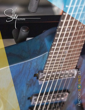 Sully® Guitarra Eléctrica 7 Cuerdas RAVEN 7 Shipwreck Hardtail con Estuche Duro