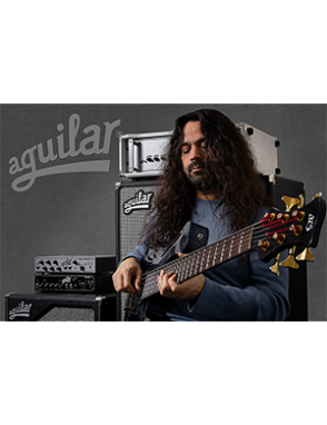 Aguilar® SL115 Gabinete Bajo 400W 8 Ohms Classic Black