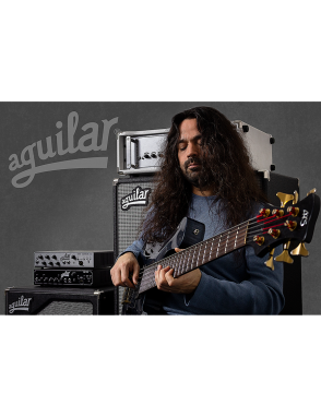 Aguilar® DCB-D1 Cápsulas Bajo 4 Cuerdas Soapbar Bartolini® Set: 2 Unidades