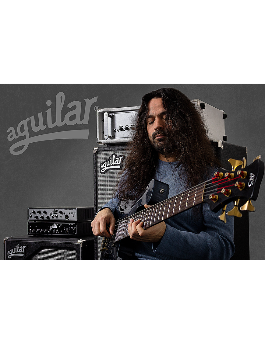 Aguilar® OBP-1SK Preamp Onboard Bajo Potenciómetro: 1 Treble/Bass Stack