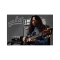 Aguilar® OBP-1SK Preamp Onboard Bajo Potenciómetro: 1 Treble/Bass Stack