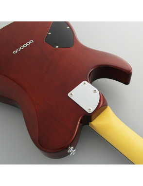FGN® EW2-R Guitarra Eléctrica J-Standard ILIAD Telecaster® Style | Funda | Color: KNB (Koa Natural Burst)