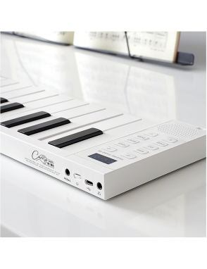 CARRY-ON Blackstar® FP88 Teclado Plegable 88 Teclas 128 Sonidos MIDI USB Color: Blanco