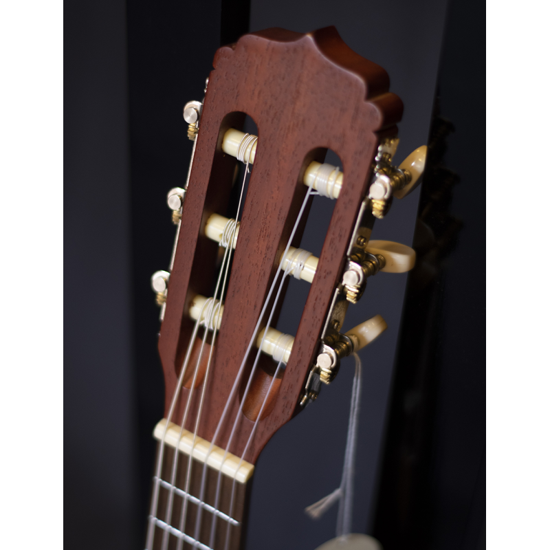 Aria® ATU-120 Ukelele Guitarlele Acústico Tenor 6 Cuerdas con Funda | Color: Caoba Natural