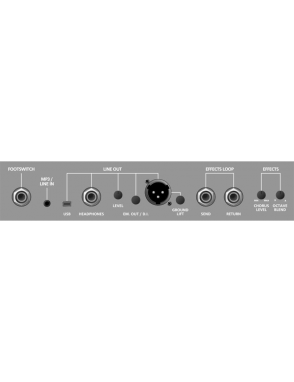 Blackstar® Unity U250 Amplificador Bajo Combo 1x15" 250w USB