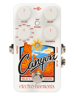 Electro-harmonix® Canyon Pedal Guitarra Delay & Looper