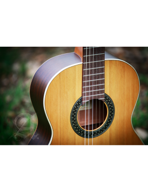 Alhambra® 1C HT Guitarra Clásica Estudio Hybrid Terra Natural con Funda