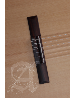Alhambra® 2F Guitarra Flamenca Estudio Golpeador Funda Color: Natural
