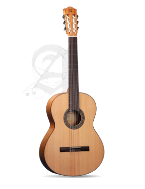 Alhambra® 2F Guitarra Flamenca Estudio Golpeador Funda Color: Natural