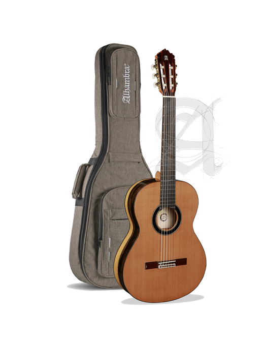 Alhambra® 6 Ébano Blanco Guitarra Clásica Conservatorio Natural con Funda