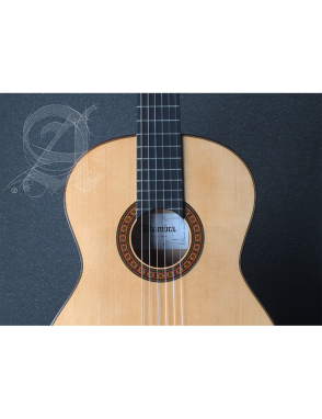 Alhambra® 8Fc Pure Guitarra Flamenca Concierto Golpeador Case