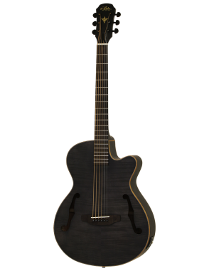Aria® FET F2 Guitarra Electroacústica Cutaway con Funda| Stained Black