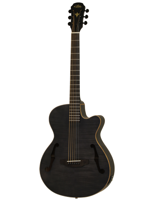 Aria® FET F2 Guitarra Electroacústica Cutaway con Funda| Stained Black