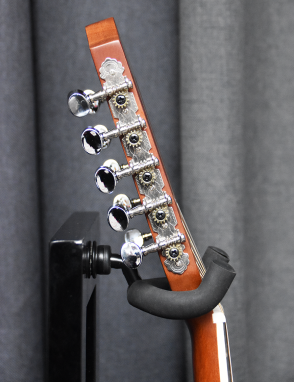 GCR® M-10E Mandolina Electroacústica 10 Cuerdas con Funda