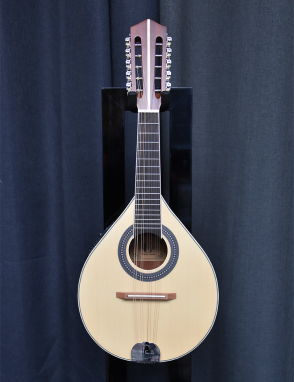 GCR® M-10E Mandolina Electroacústica 10 Cuerdas con Funda