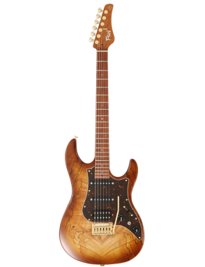 FGN® ODYSSEY Expert EOS2 EW1-RM Guitarra Eléctrica tipo Stratocaster® Case | Hojicha Burst