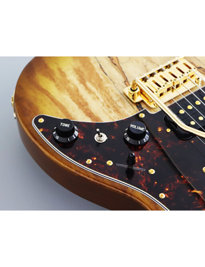 FGN® ODYSSEY Expert EOS2 EW1-RM Guitarra Eléctrica tipo Stratocaster® Case | Hojicha Burst