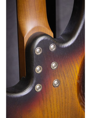 Aria® 313-JP Tributo Jaco Pastorius Bajo Eléctrico Fretless| Open-Pore Sunburst