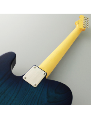 FGN® Neo Classic NTE100MAH Guitarra Eléctrica Telecaster® Funda | See-Thru Blue Burst