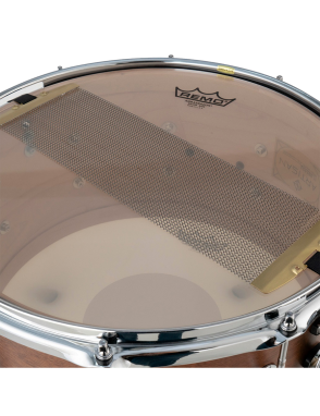 Dixon Artisan Gregg Bissonette Big Bud Signature Caja Batería 14x8" Walnut