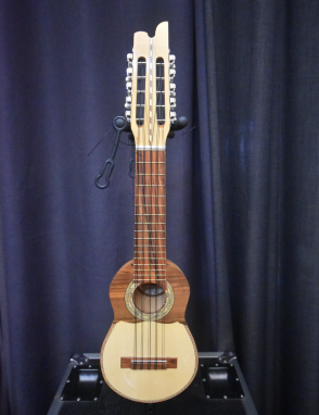 Carlos Quispe Charango Profesional con Funda