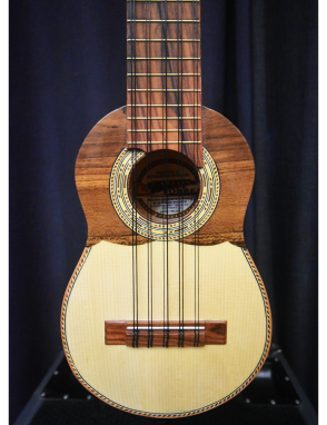 Carlos Quispe Charango Profesional con Funda