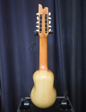 Carlos Quispe Charango Profesional con Funda