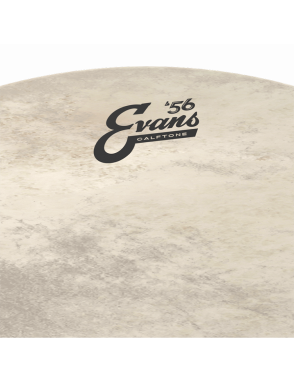 EVANS BD24CT Calftone '56 Parche Bombo 24" Poroso | 1-Capa 12-Mil