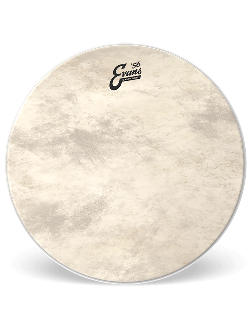 EVANS BD24CT Calftone '56 Parche Bombo 24" Poroso | 1-Capa 12-Mil