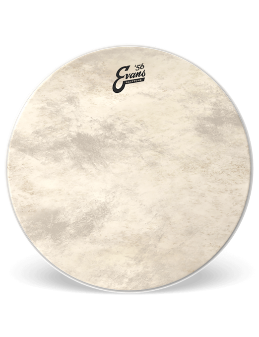 EVANS BD24CT Calftone '56 Parche Bombo 24" Poroso | 1-Capa 12-Mil