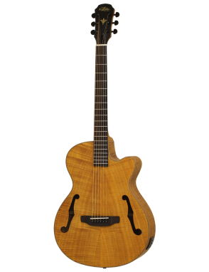 Aria® FET F2 Guitarra Electroacústica con Funda| Stained Brown