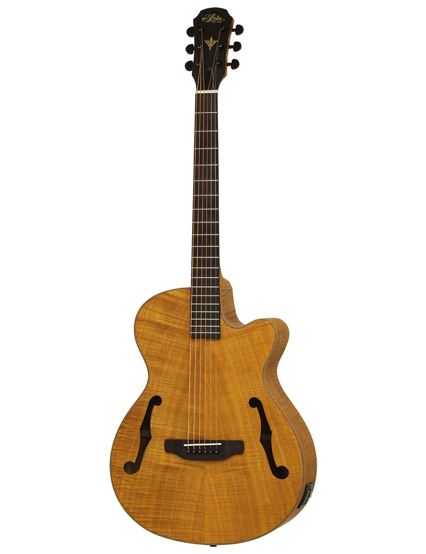Aria® FET F2 Guitarra Electroacústica con Funda| Stained Brown