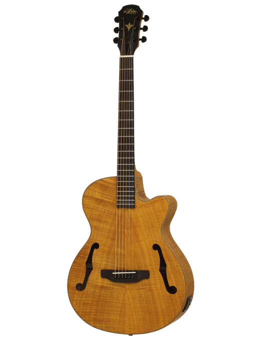 Aria® FET F2 Guitarra Electroacústica con Funda| Stained Brown
