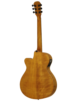 Aria® FET F2 Guitarra Electroacústica con Funda| Stained Brown
