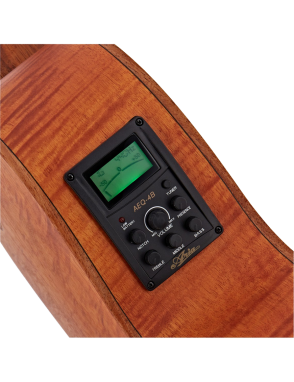 Aria® FET F2 Guitarra Electroacústica Cutaway con Funda| Stained Brown