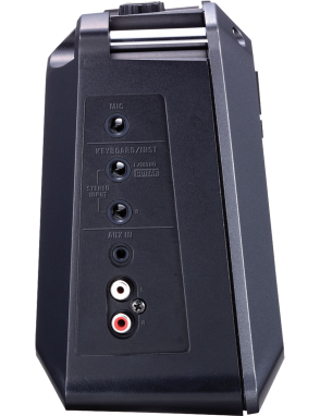 Roland MOBILE CUBE Amplificador Portátil Stereo