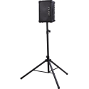 Roland CUBE Street EX Amplificador Guitarra Combo 50W