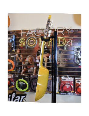 Carlos Quispe Charango Profesional con Funda