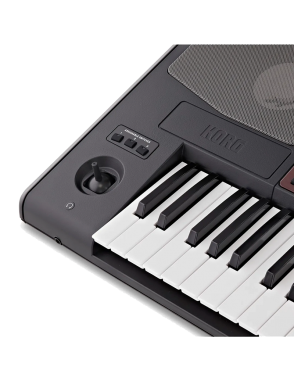 KORG® Pa700 Arranger Professional Workstation 61 Teclas