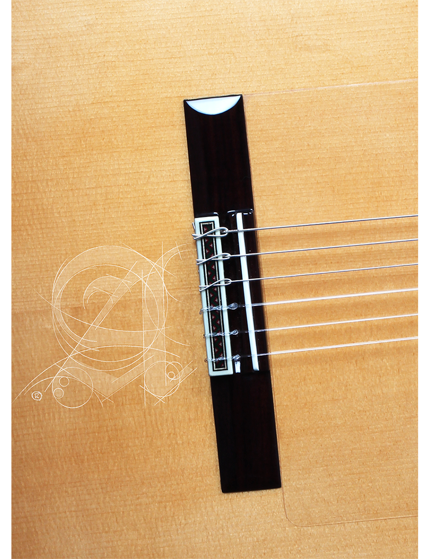Alhambra® 8Fc Pure Guitarra Flamenca Concierto Golpeador Case