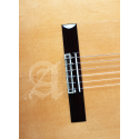 Alhambra® 8Fc Pure Guitarra Flamenca Concierto Golpeador Case