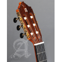 Alhambra® 8Fc Pure Guitarra Flamenca Concierto Golpeador Case