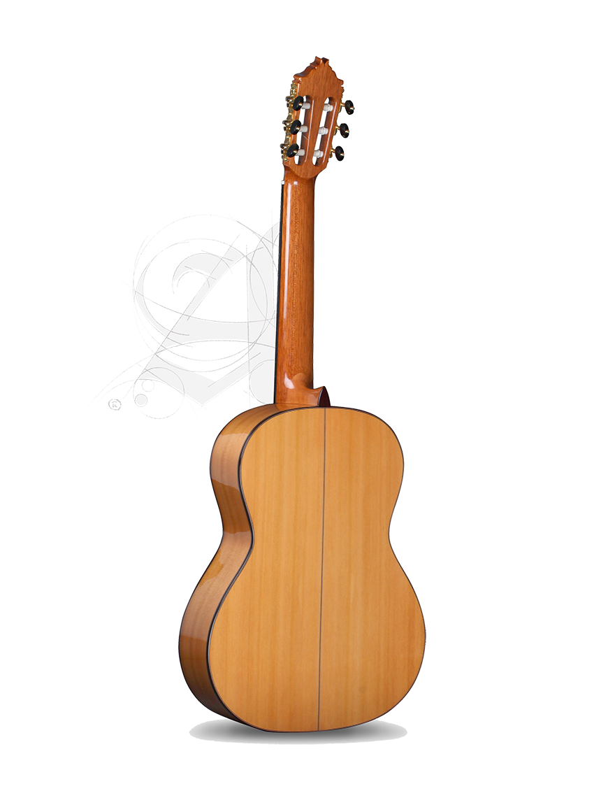 Alhambra® 8Fc Pure Guitarra Flamenca Concierto Golpeador Case