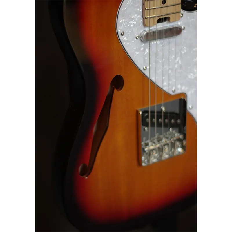 Aria® TEG-TL Guitarra Eléctrica Semi-Hollow Telecaster® Style | 3-Tone Sunburst