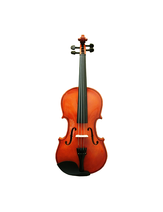 MONTAG® Violín MVGL 4/4  Estudio