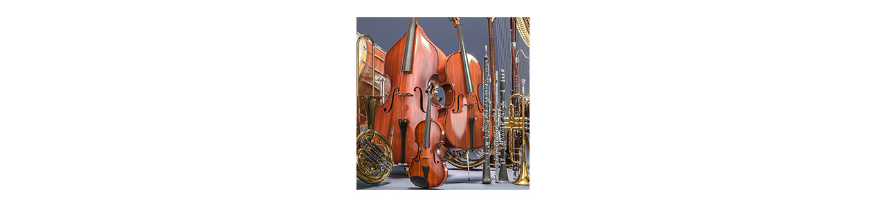 Bandas y Instrumentos Orquestales