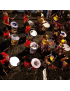 Percusión Brasileña